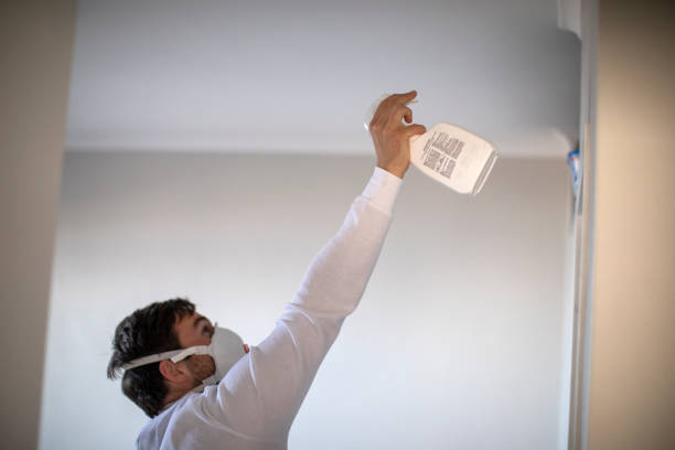 Mold Testing and Removal in Sugar Grove, IL
