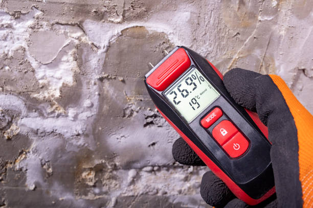 Best Crawl Space Mold Removal  in Sugar Grove, IL